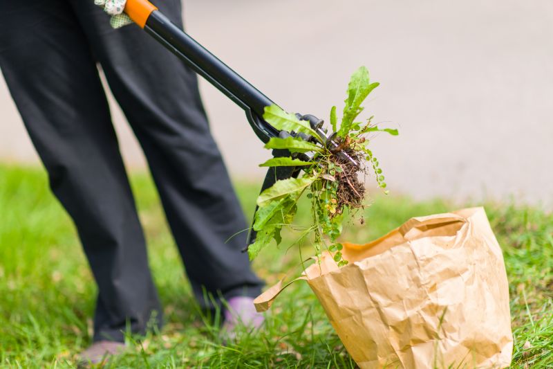 Top Rated Products for Weed Smell Removal