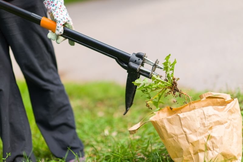 Weed Smell Removal