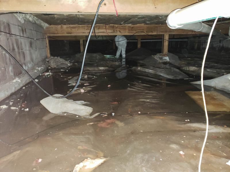 Emergency Water Removal in Gilbert, AZ