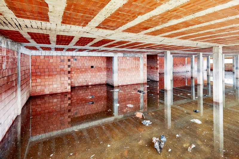 Flooded Basement Cleanup in Mesa, AZ