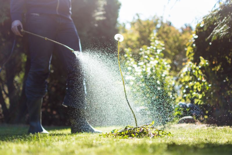 Weed Smell Removal Cost — Cost of Weed Smell Removal
