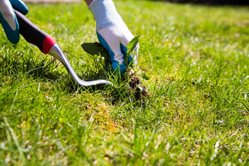 Weed Smell Removal Cost — Cost of Weed Smell Removal