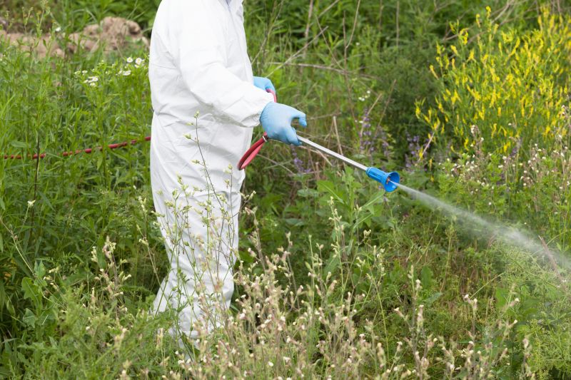 Weed Smell Removal Cost — Cost of Weed Smell Removal