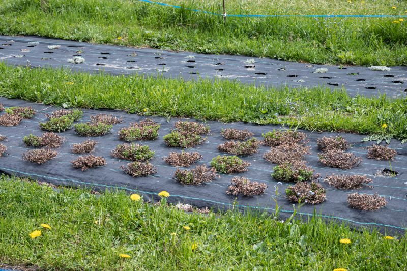 Material Picks that Last