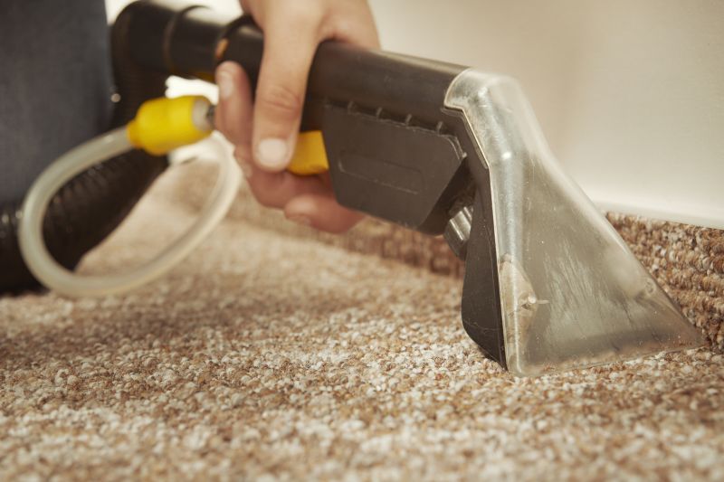 Wet Carpet Drying in Mesa, AZ